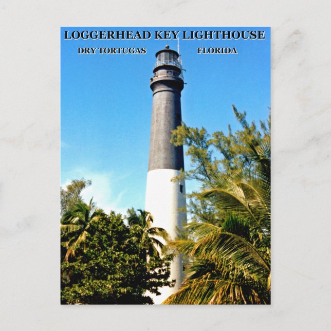 Loggerhead Key Lighthouse, cartão postal da Flórid (Frente)