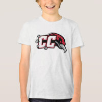 Logotipo do CC Thunderbird