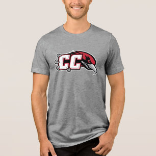 Logotipo do CC Thunderbird
