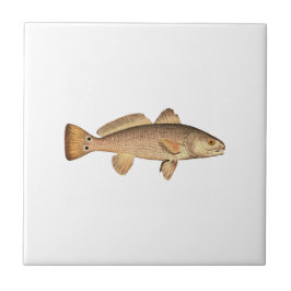 Logotipo dos salmonetess