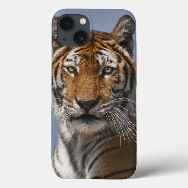 Lola iPad Case (Verso)