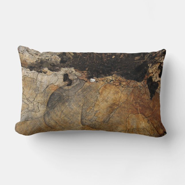 Lombar Almofada (Frente)