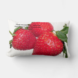 Lombar Almofada de Fruta Natural para Decoração de Casa