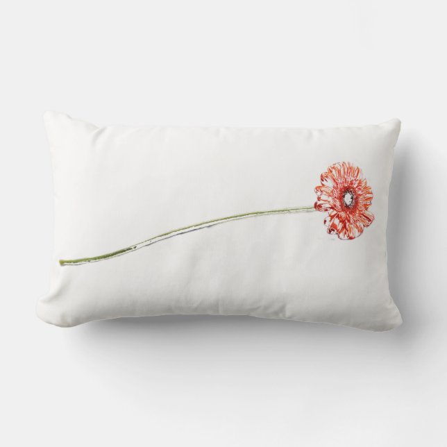 Lombar Almofada de Gerbera de Crisântemo Vermelho Pálido (Frente)