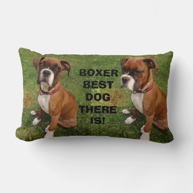 Lombar BOXER O MELHOR CÃO QUE EXISTE  almofada (Frente)