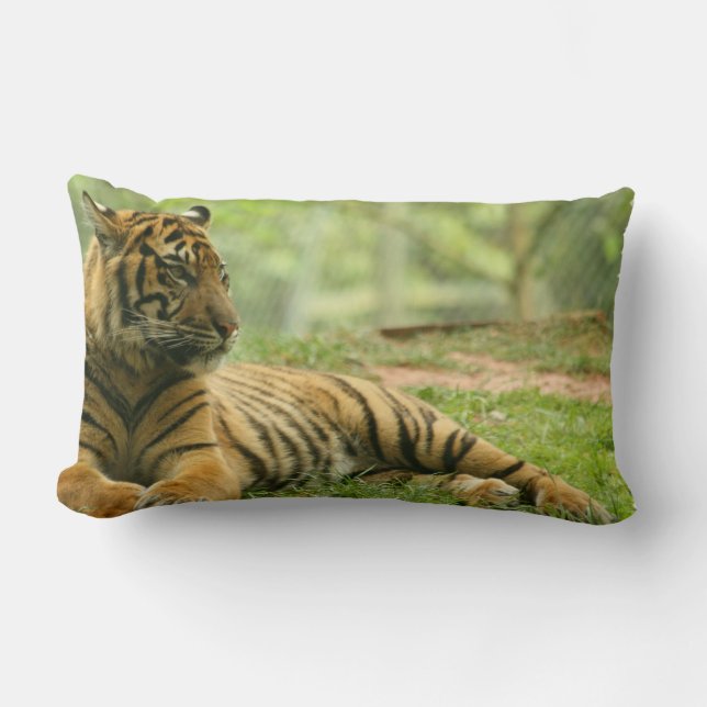 Lombar Tigre descansando Almofada (Frente)