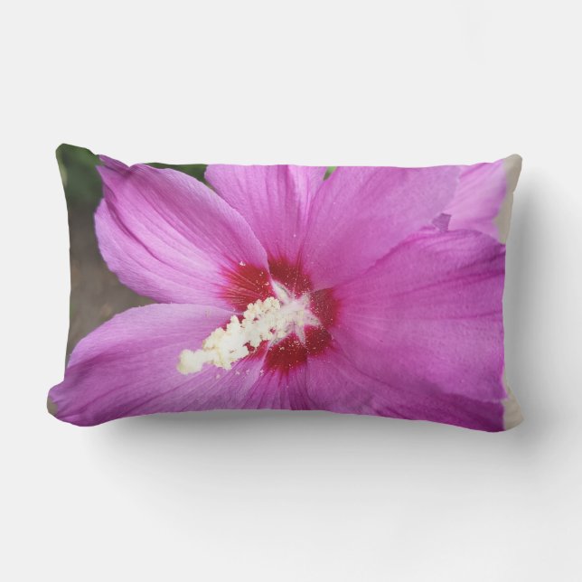 Lombar Título  Flor de Hibisco Rosa Almofada de Arremesso (Frente)