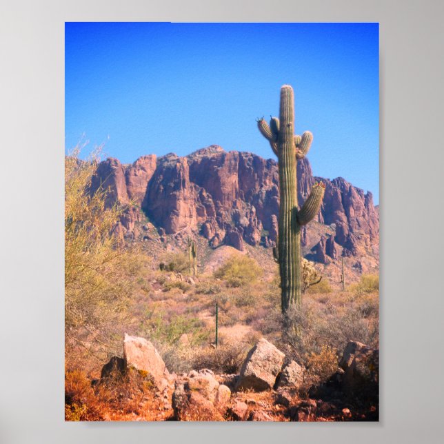 Lone Cactus Poster (Frente)
