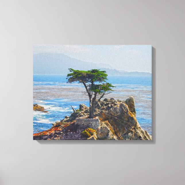 Lone Cypress, Monterey, California Canvas Print (Frente)