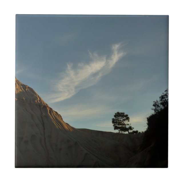 Lone Torrey Pine California Sunset Landscape (Frente)