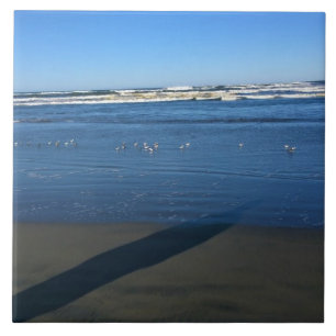 Long Beach, Washington