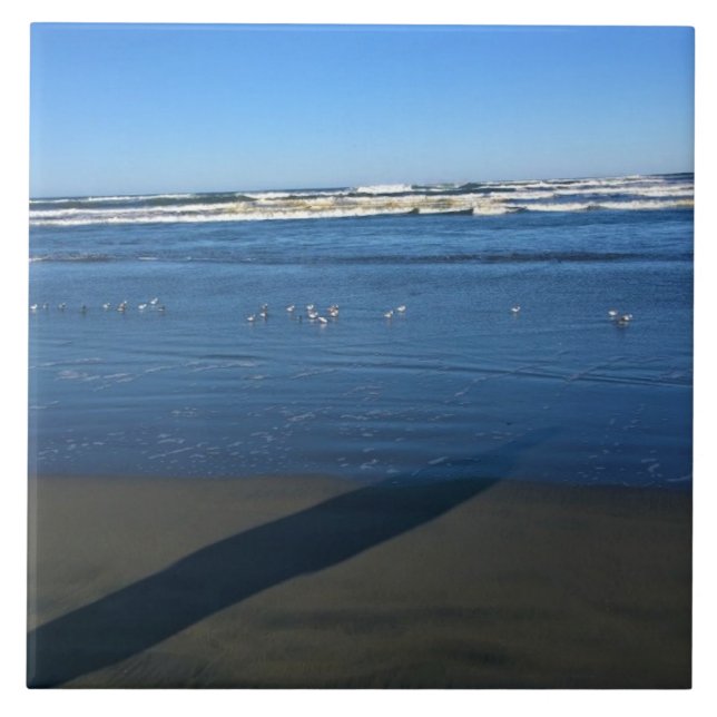 Long Beach, Washington (Frente)