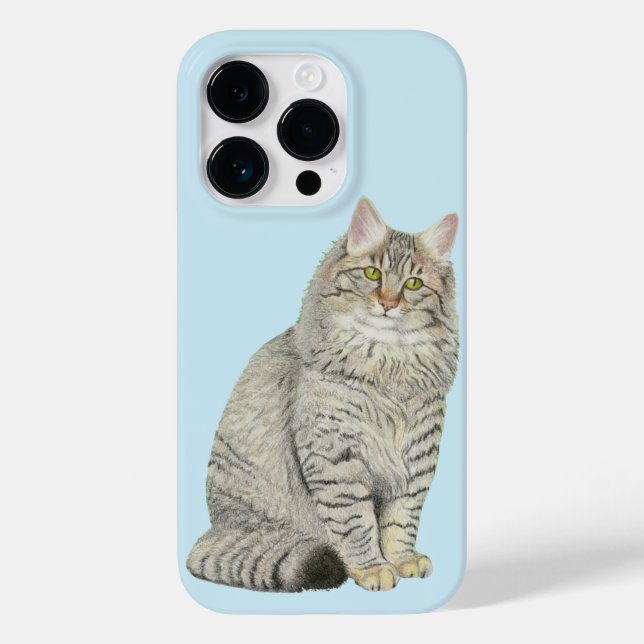 Longhair Tabby Cat (Verso)