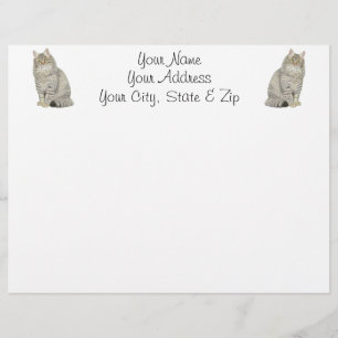 Longhair Tabby Cat