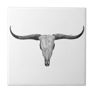 Longhorn Skull