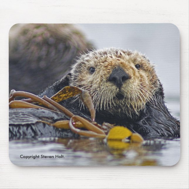 Lontra de mar Mousepad de Califórnia (Frente)
