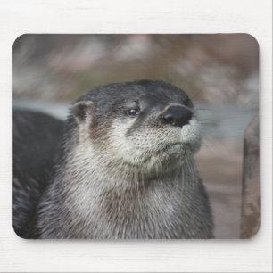 Lontra de rio norte-americana Mousepad