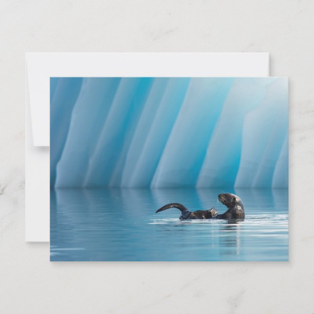 Lontra marítima lúdica (Frente)