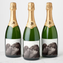 Lontras Beijando - Arte de Vida Selvagem Pintada à