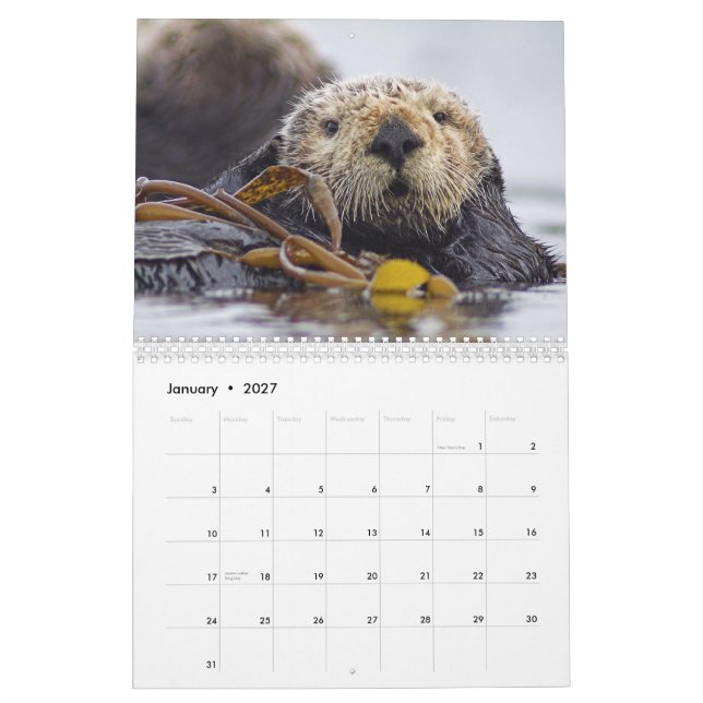 Lontras de mar e calendário de parede dos selos (Jan 2027)