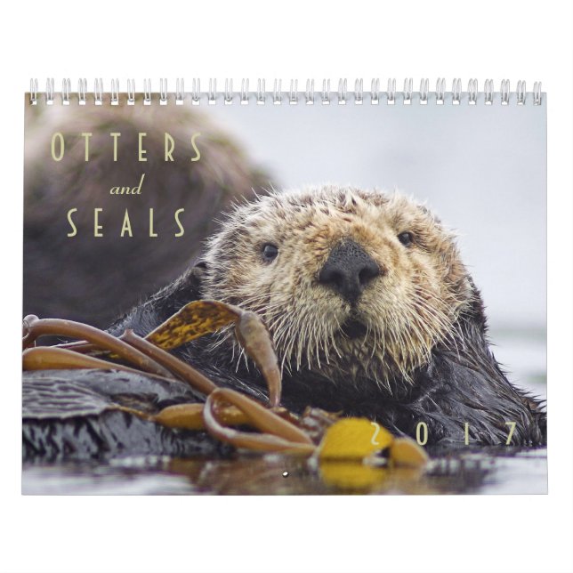 Lontras de mar e calendário de parede dos selos (Capa)