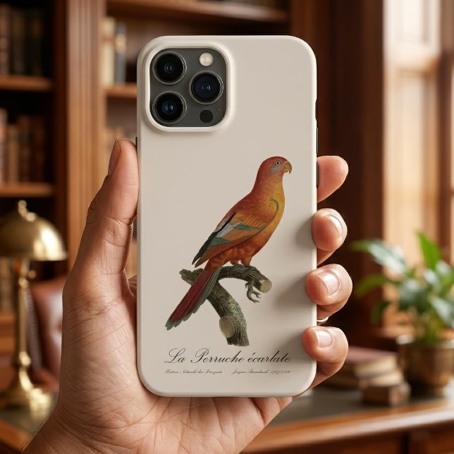 Lóri-de-bornéu, Trichoglossus borneus (Red Lory or Eos Bornea, Trichoglossus borneus. iPhone Case)