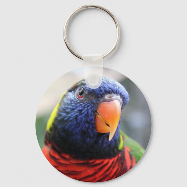 Lorikeet Chaveiro (Frente)