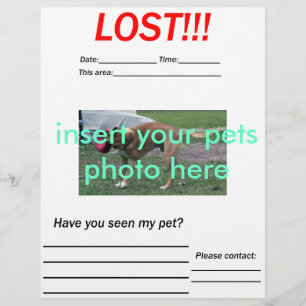 LOST PET FLYER - vertical