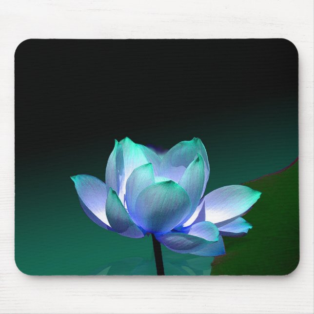 Lótus Azul em plena floração, mousepad (Frente)