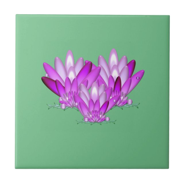 Lotus floresce rosa sobre fundo verde marinho (Frente)