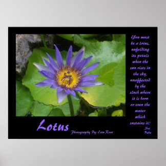 Lotus Poster com citações de Sai Baba