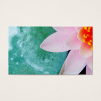 Lótus rosa e laranja