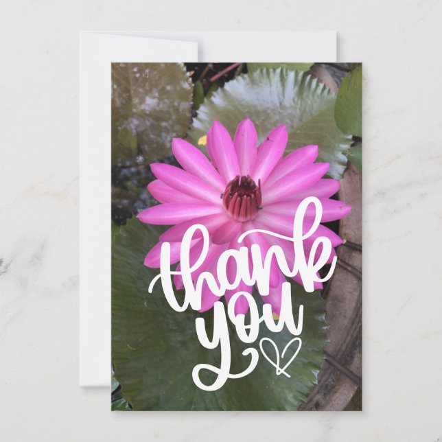 Lotus rosa no cartões de agradecimentos do lago (Frente)