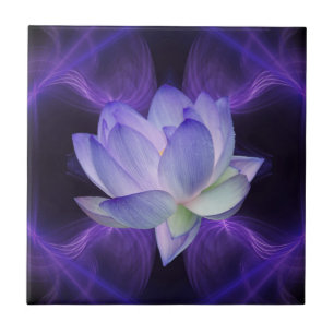 Lotus roxo e geometria sagrado