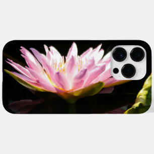 Lotus Waterlily Rosa