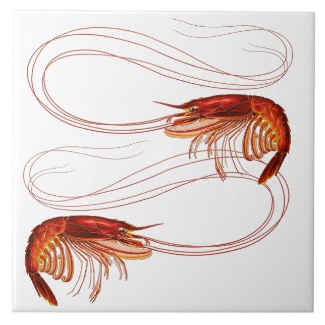 Louisiana Shrimp (Frente)