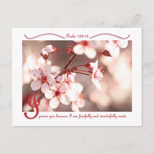 Louvo seu cartão postal (Frente)