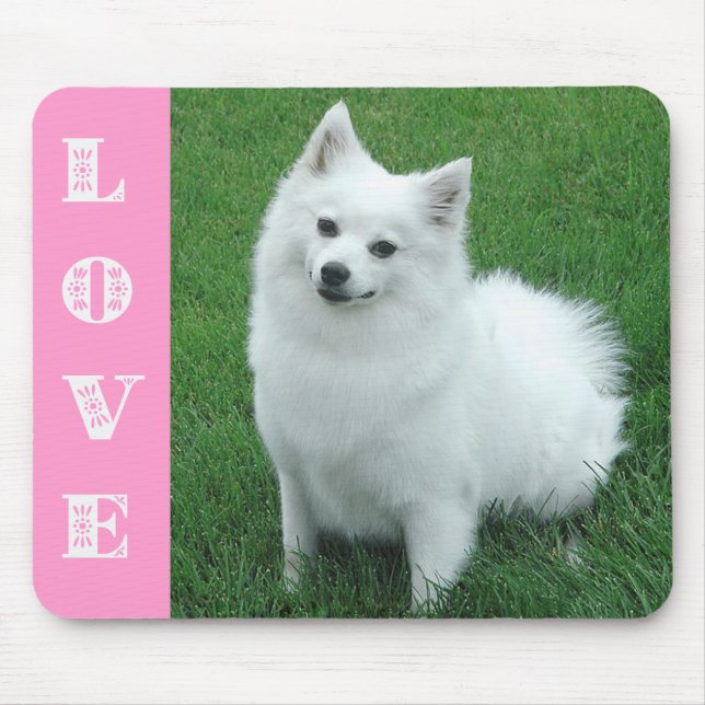 Love American Eskimo Puppy Dog Mousepad (Frente)