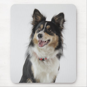 Love Border Collie Puppy Dog Mousepad