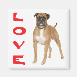 Love Boxer Puppy Dog Imã de geladeira