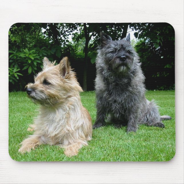 Love Cairn Terrier Puppy Dog Mousepad (Frente)