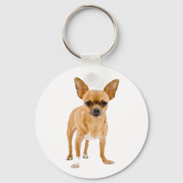 Love Chihuahua Puppy Dog Chaveiro (Frente)