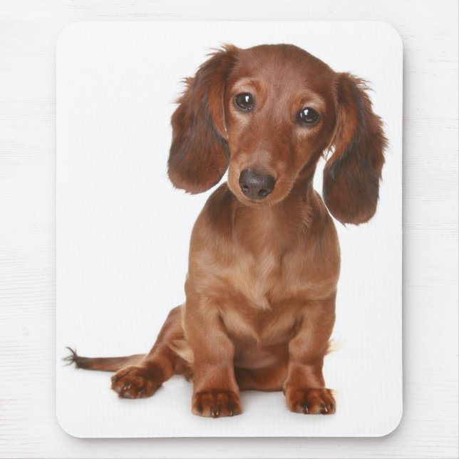 Love Dachshund Puppy Dog Computer Mousepad (Frente)