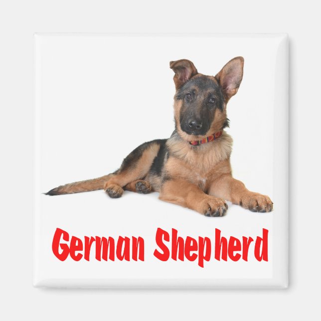 Love German shepherd Puppy Dog Imã de geladeira (Frente)