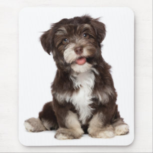 Love Havanese Puppy Dog Mousepad