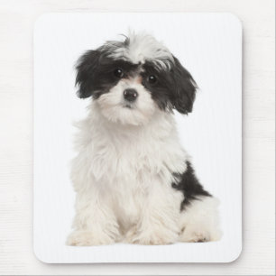 Love Havanese Puppy Dog Mousepad