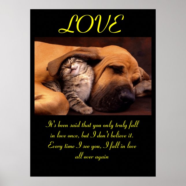 LOVE Posters Animal 3 (Frente)