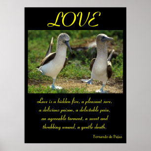 LOVE Posters Animal 7