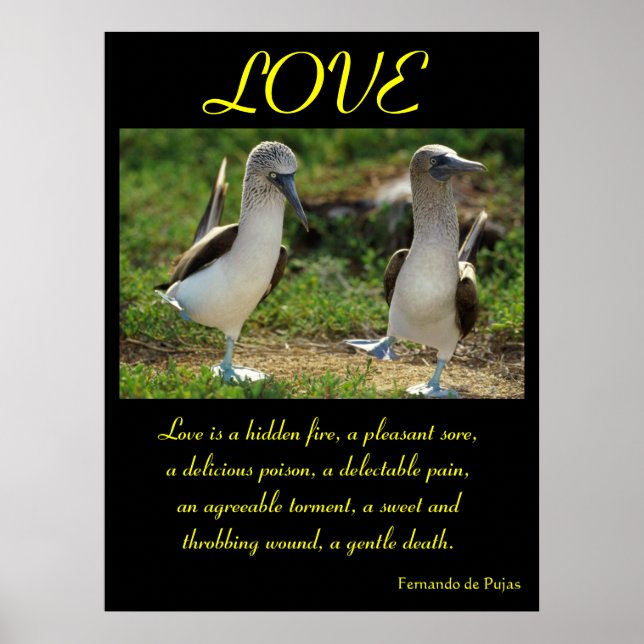LOVE Posters Animal 7 (Frente)