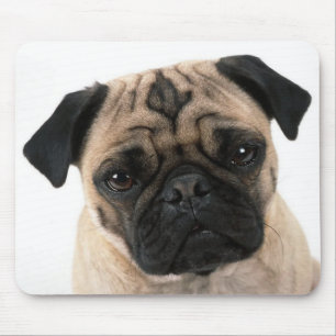 Love Pug Puppy Dog com Heart Mousepad